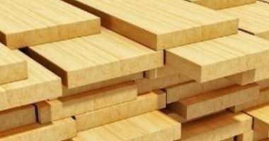 مصر تستورد 4 أنواع من الخشب بـ 749 مليون دولار خلال 2020