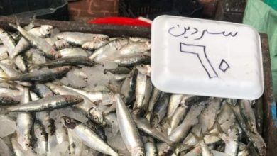 حملات مفاجئة لبائعي الأسماك في بورسعيد والتأكيد على وضع التسعيرة.. صور